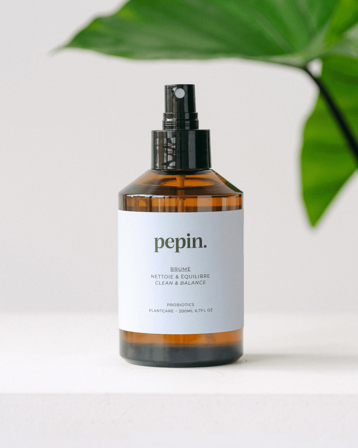 Brume nettoyante pour plantes d'intérieur - pepin