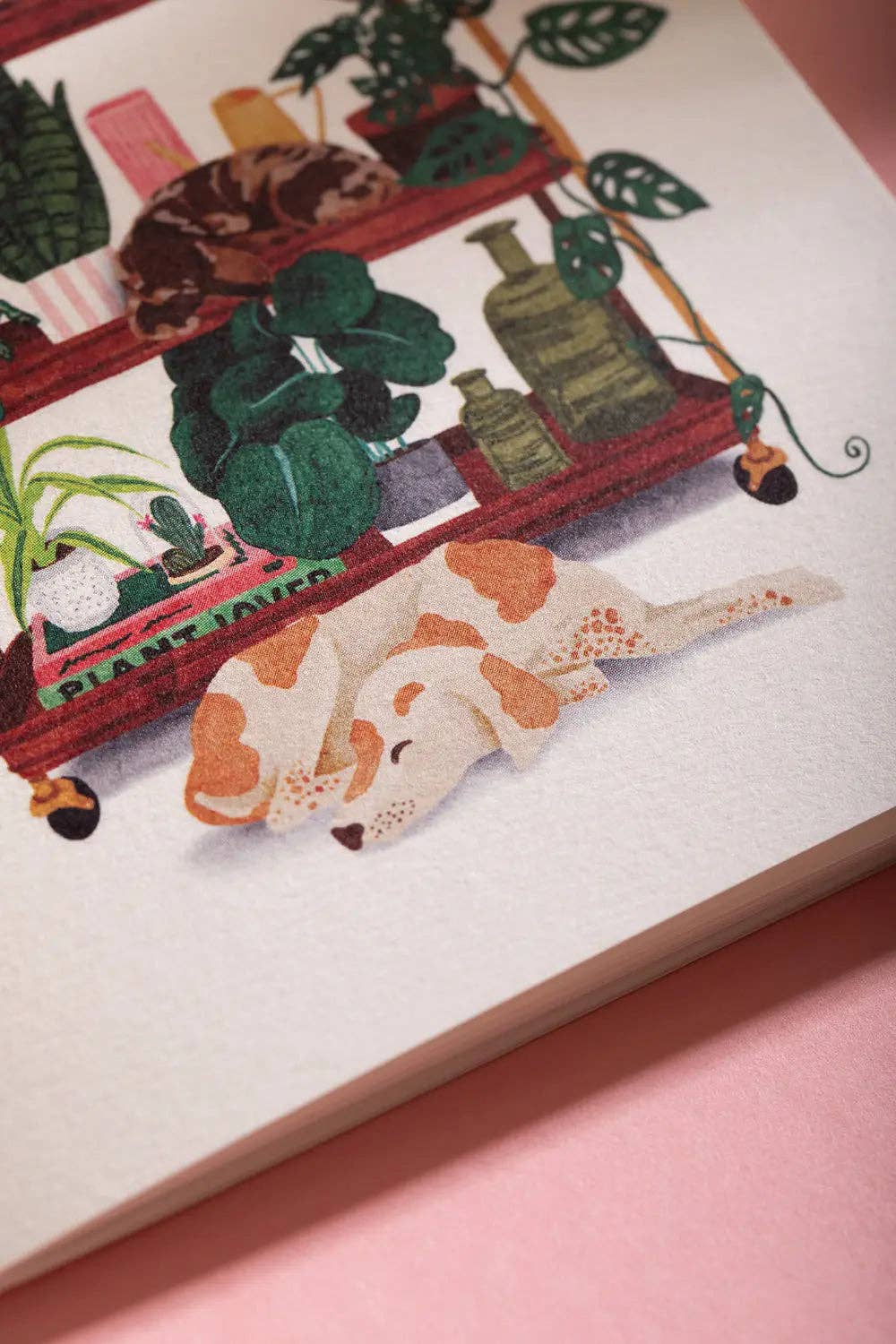 Carnet de poche A6 duo La vie avec des animaux et des plantes - all the ways to say