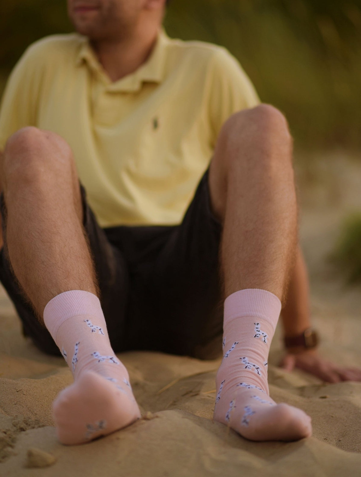 Chaussettes drôles pour homme motif lama