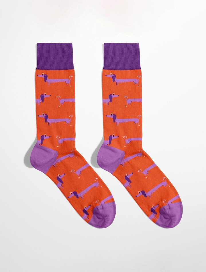 Chaussettes homme originales motif Happy Teckel