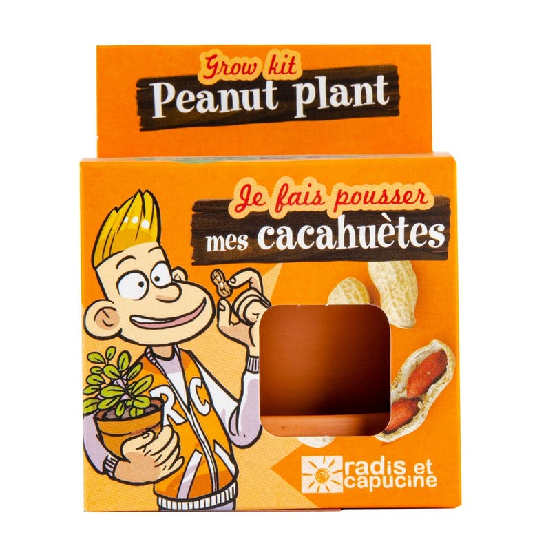 Graines de cacahuètes à faire pousser - radis et capucine