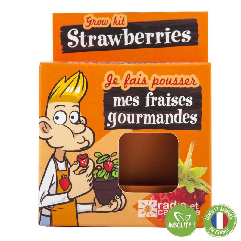 Graines de fraisier à faire pousser - radis et capucine