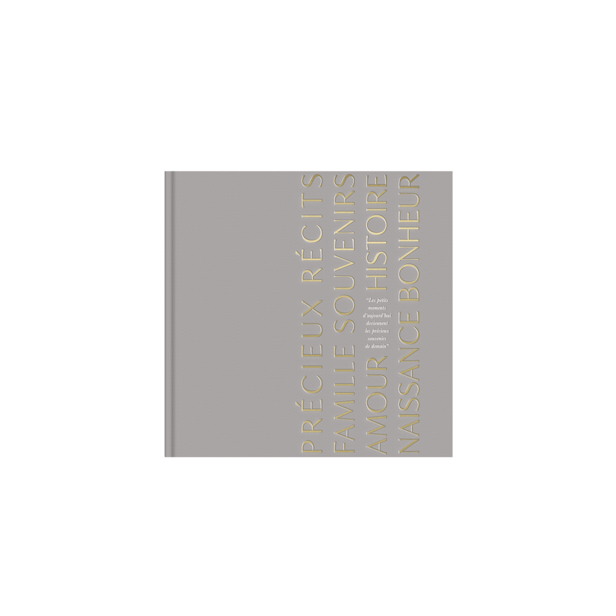 Livre de naissance "Précieux Souvenirs"