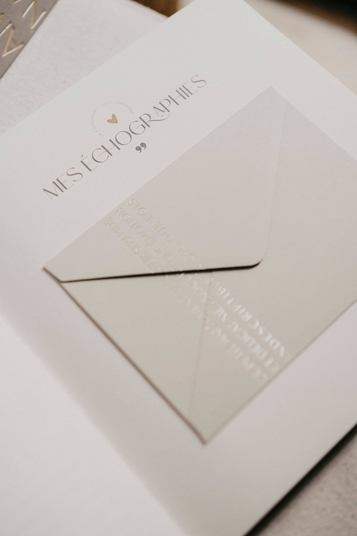 Livre de naissance "Précieux Souvenirs"