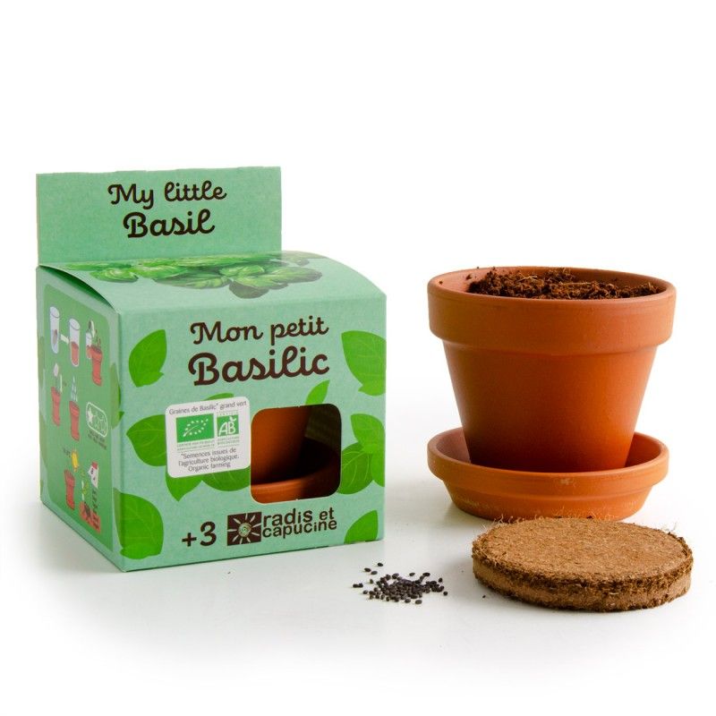 Mon petit basilic à faire pousser - radis et capucine