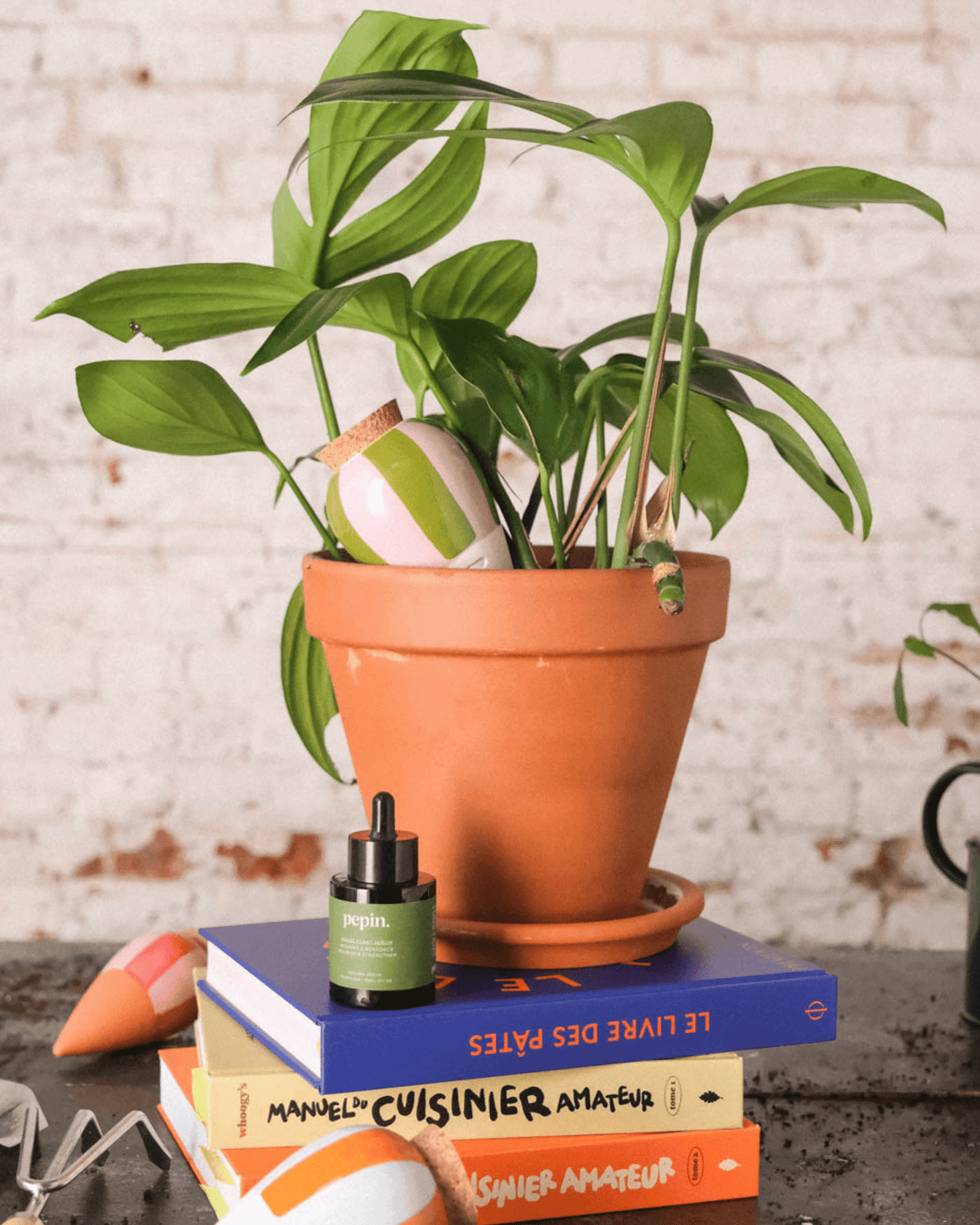 Olla léopard décorative pour plantes d’intérieur - pepin