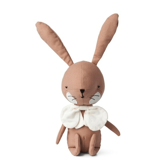 Peluche lapin robin