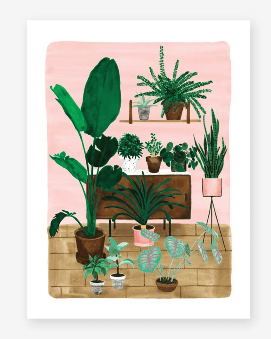 Affiche plantes vertes d’intérieur