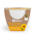 Pot de culture tournesol - radis et capucine