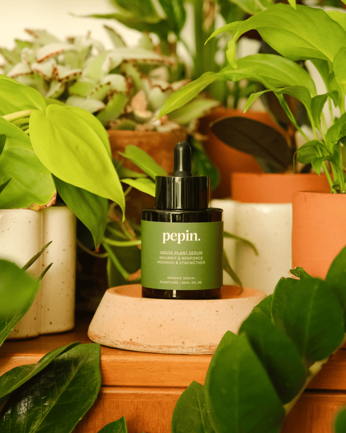 Sérum nourrissant pour plantes vertes - pepin