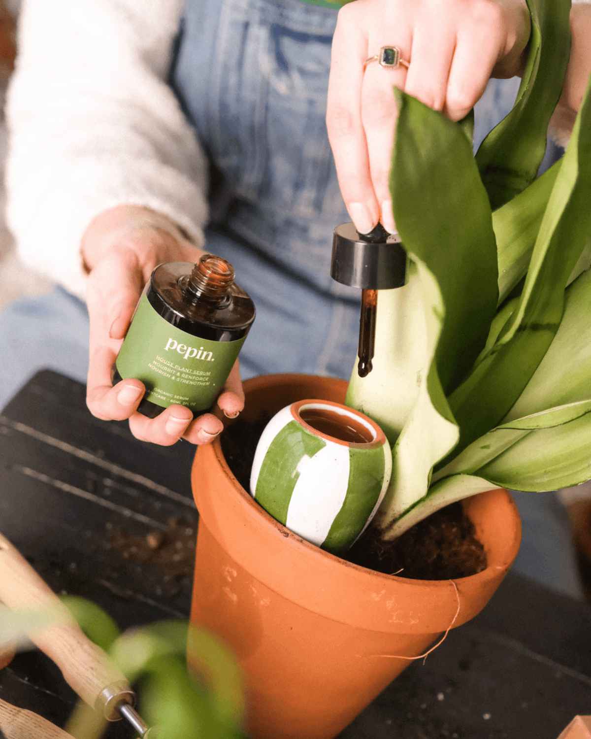 Sérum nourrissant pour plantes vertes - pepin