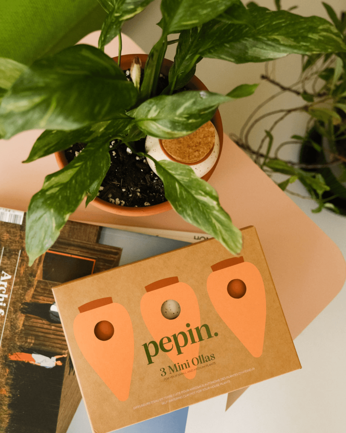 Trio mini olla pepin en terre cuite pour arrosage automatique