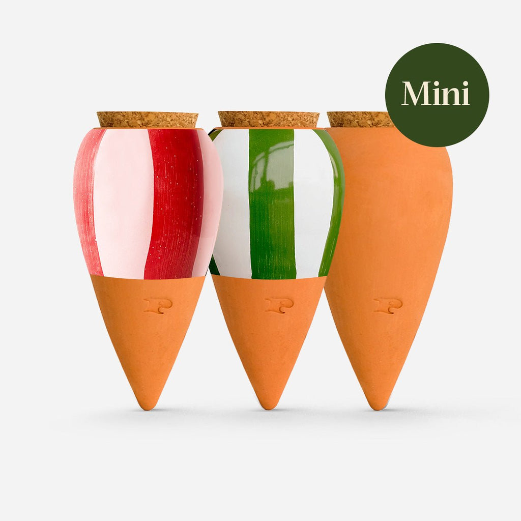 Trio mini olla rayée en terre cuite - pepin
